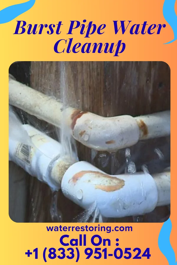 Burst Pipe Water Cleanup in Patriot, IN