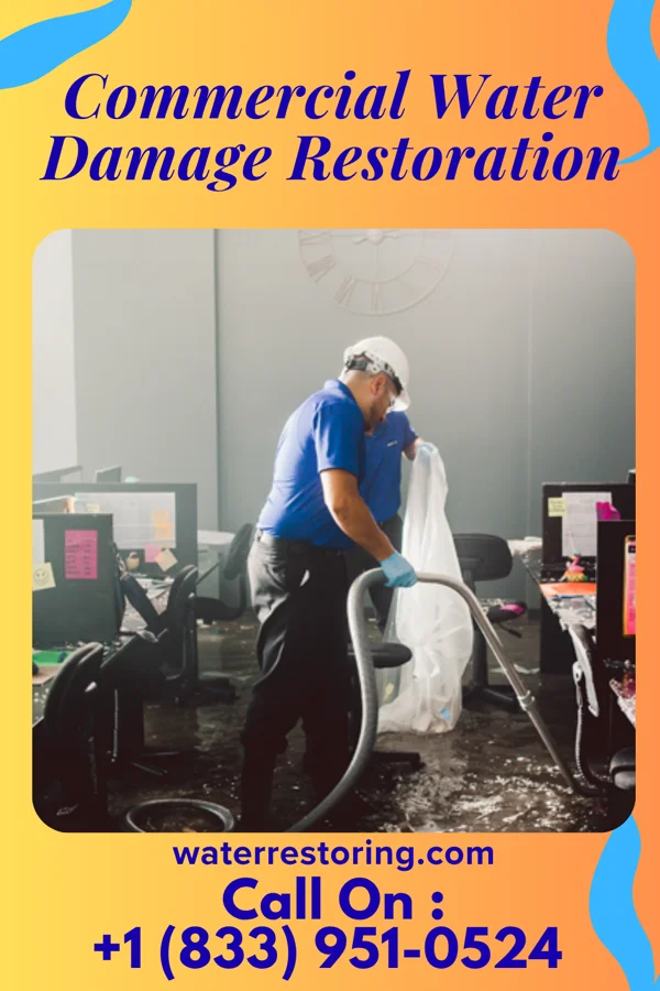 Commercial Water Damage Restoration in Patriot, IN