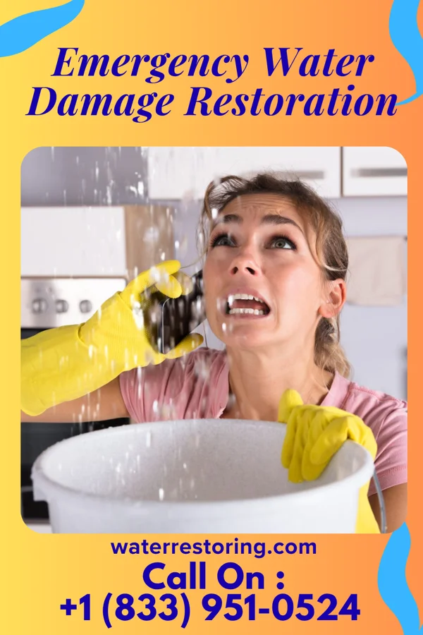 Emergency Water Damage Restoration in Patriot, IN