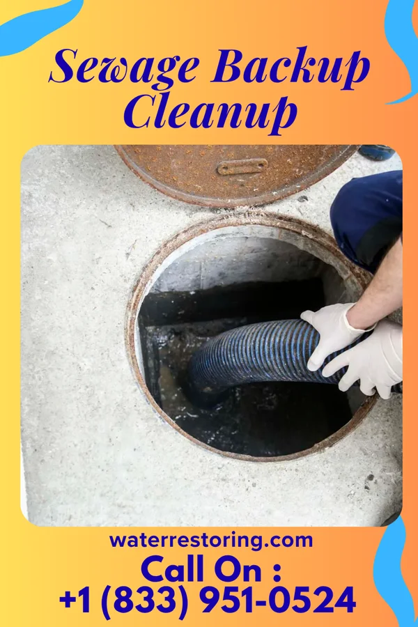 Sewage Backup Cleanup in Patriot, IN