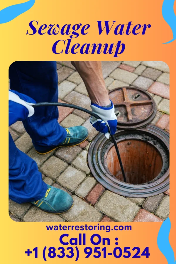 Sewage Water Cleanup in Patriot, IN